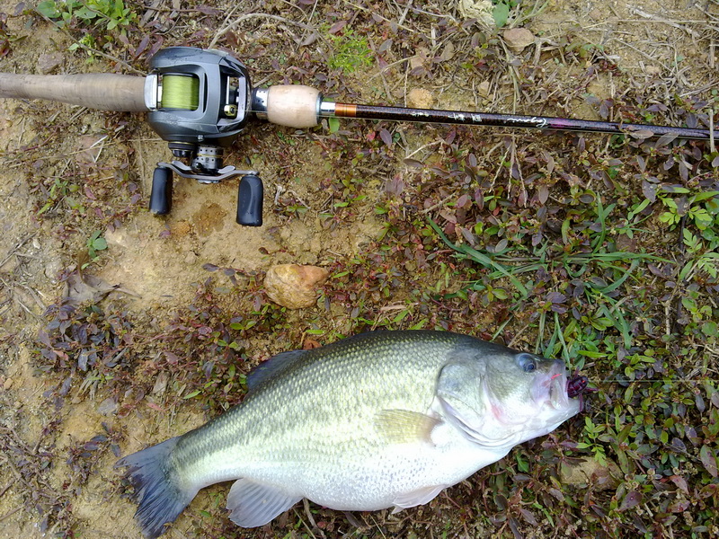 *倒吊mini武![复制链接]