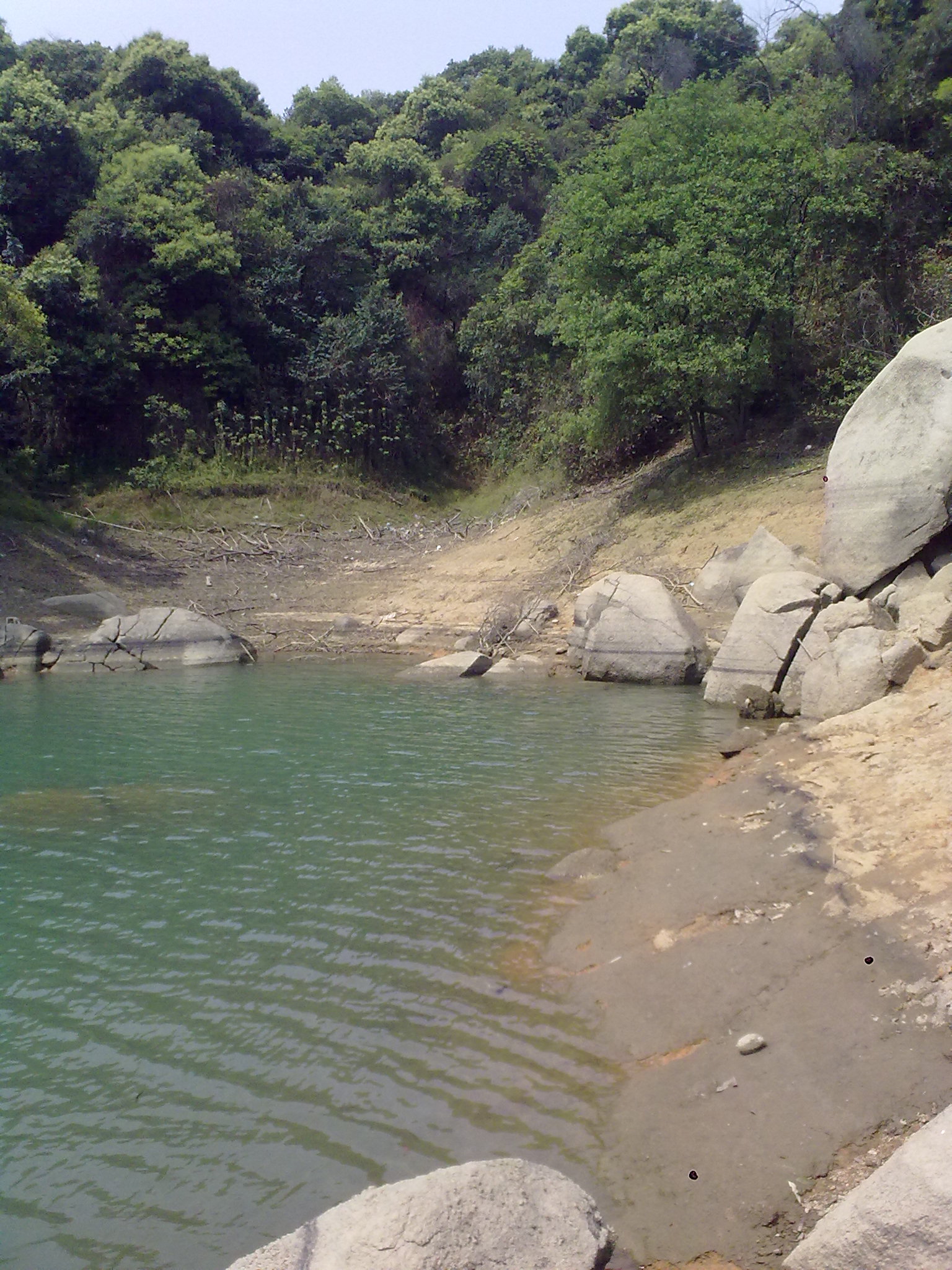 探钓军鱼钓场--迎咀水库
