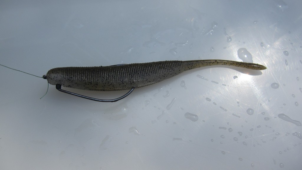 太湖野生bass,力量感太足太诱惑人!