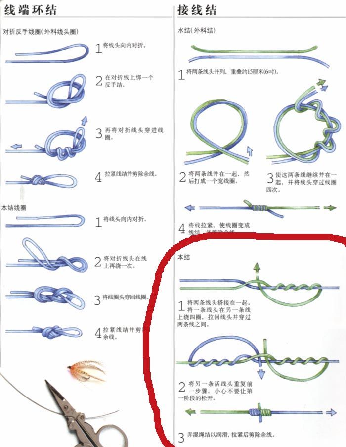 西北狼请进[复制链接]