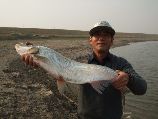 青海路亚鱼种图片