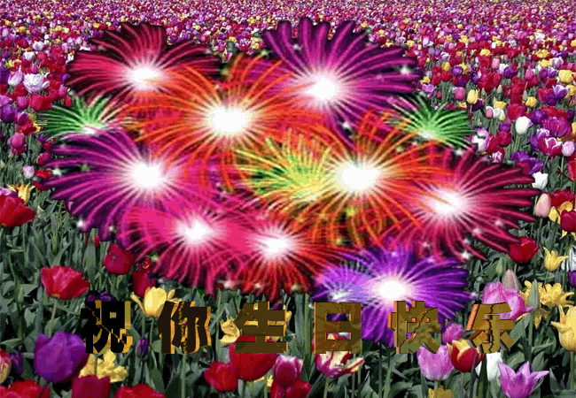 祝 路无止尽, 鹰为有你 生日快乐