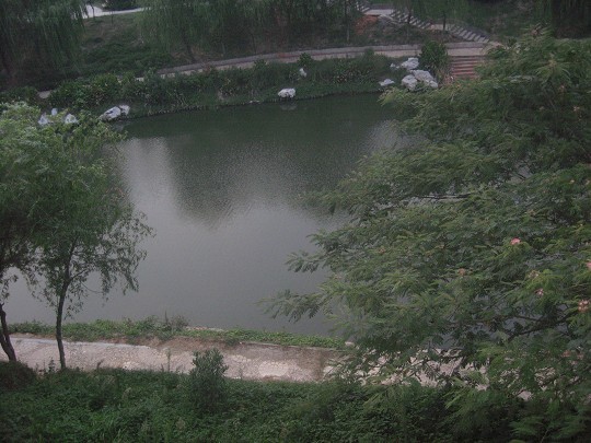 Ƭ 104.jpg