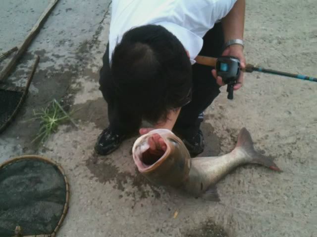 20110809133750.jpg