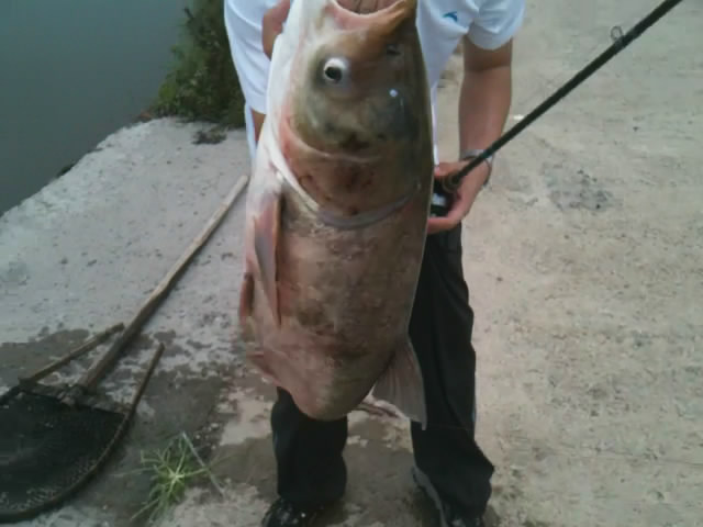 20110809133927.jpg