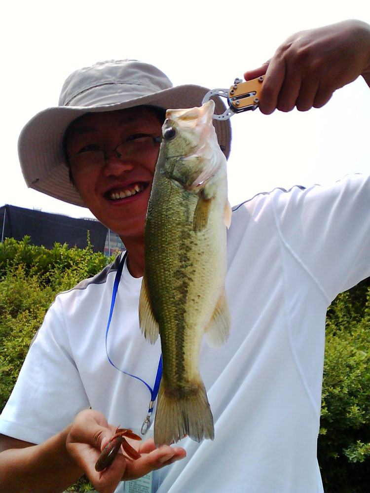 IMG0187A.jpg