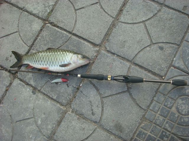 DSC03857.JPG