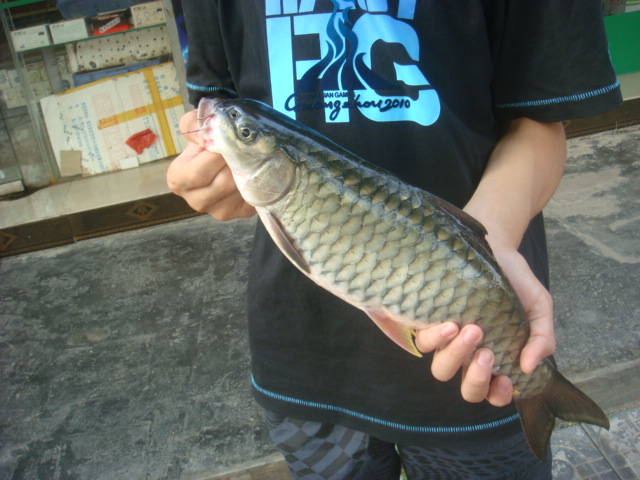 DSC03860.JPG