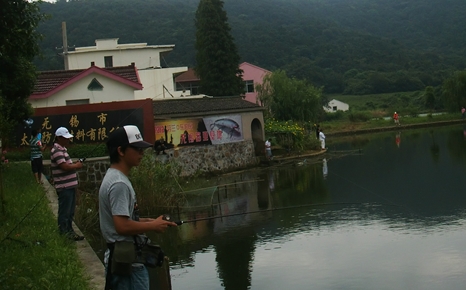 14.JPG