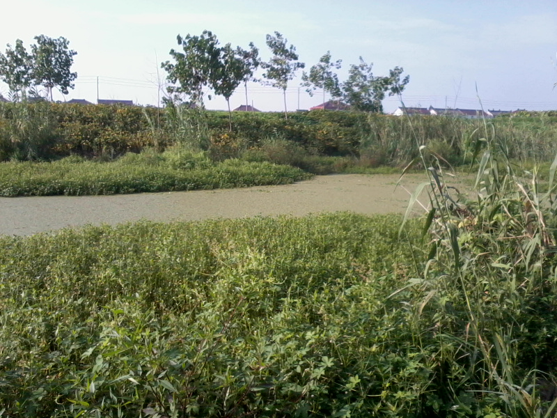 Ƭ0313.jpg
