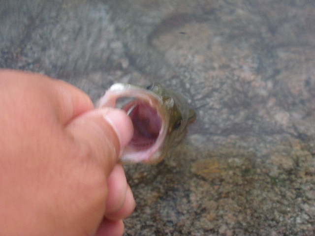 P9010074.JPG