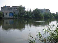 IMG_0824_.jpg