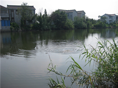 IMG_0826_.jpg
