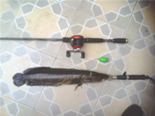 IMG0172A_.jpg
