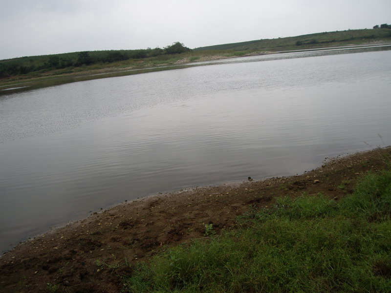 IMGP4012.JPG