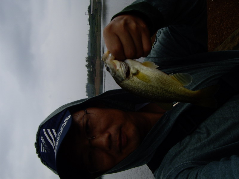 IMGP4014.JPG