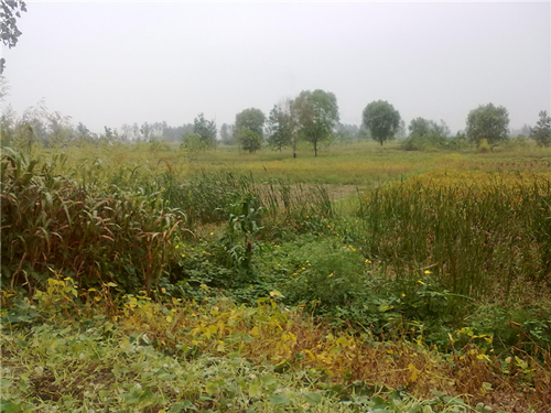 20110912029_.jpg