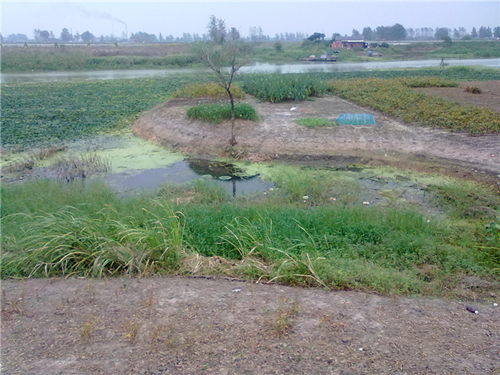 20110912030_.jpg