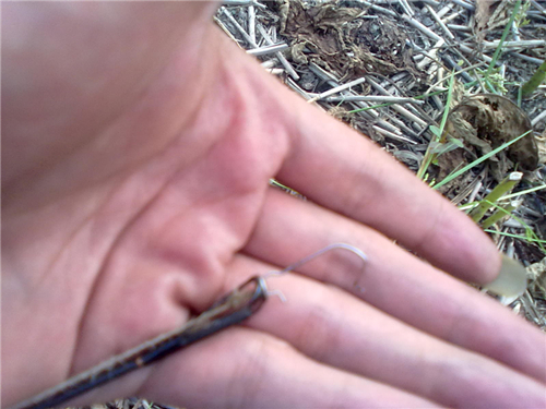 20110912033_.jpg