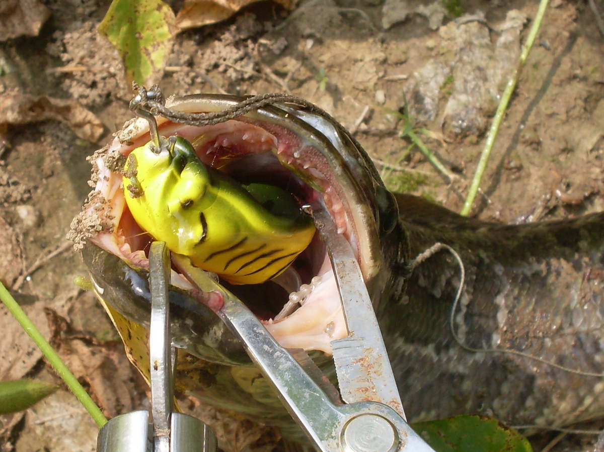 SDC15297.JPG