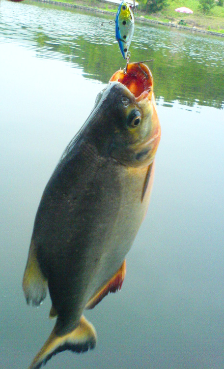 DSC02722.jpg
