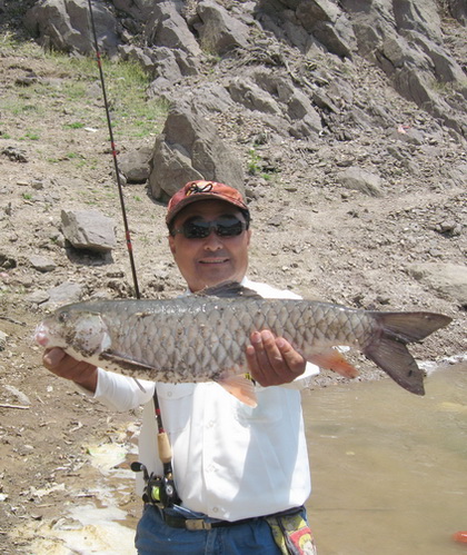 Ƭ 063.jpg=-=.jpg