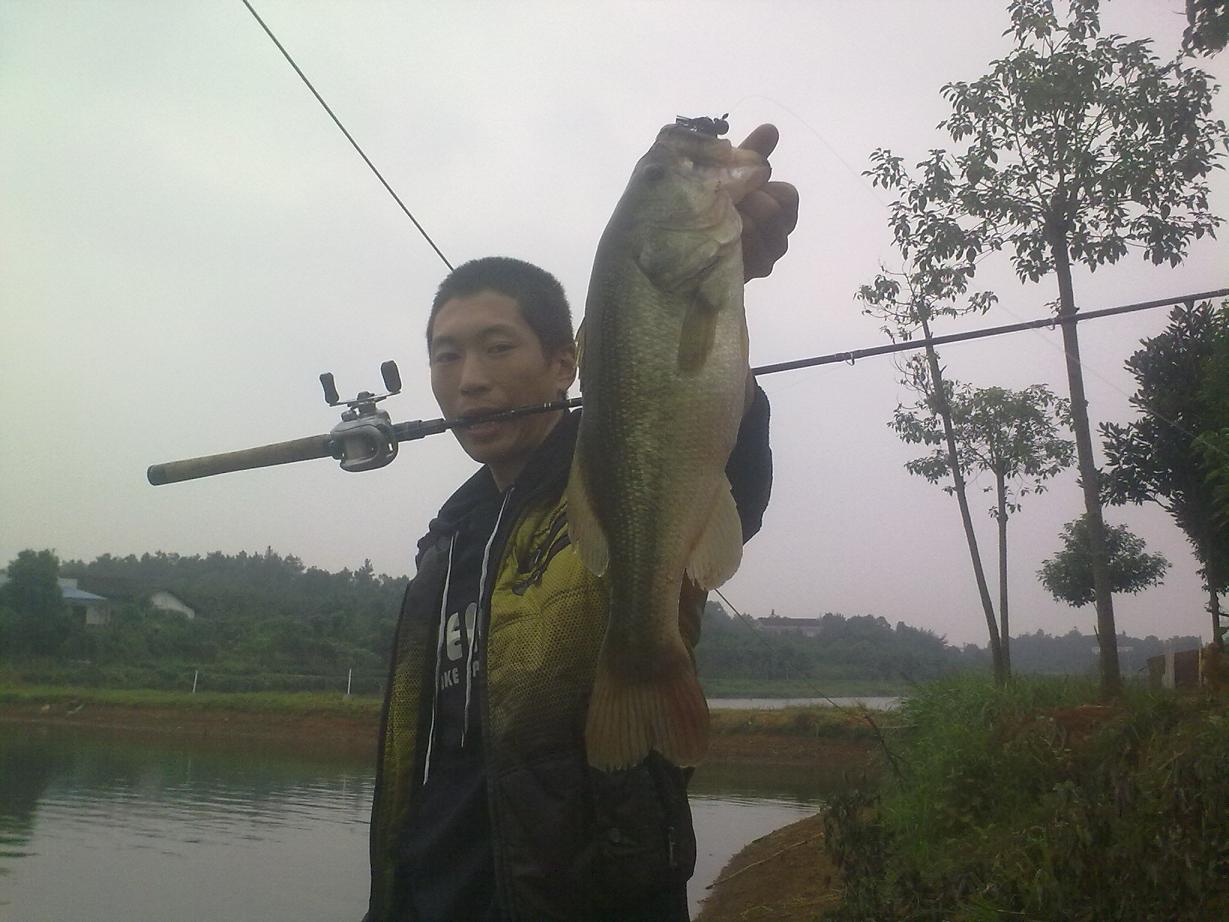 20110921368.jpg