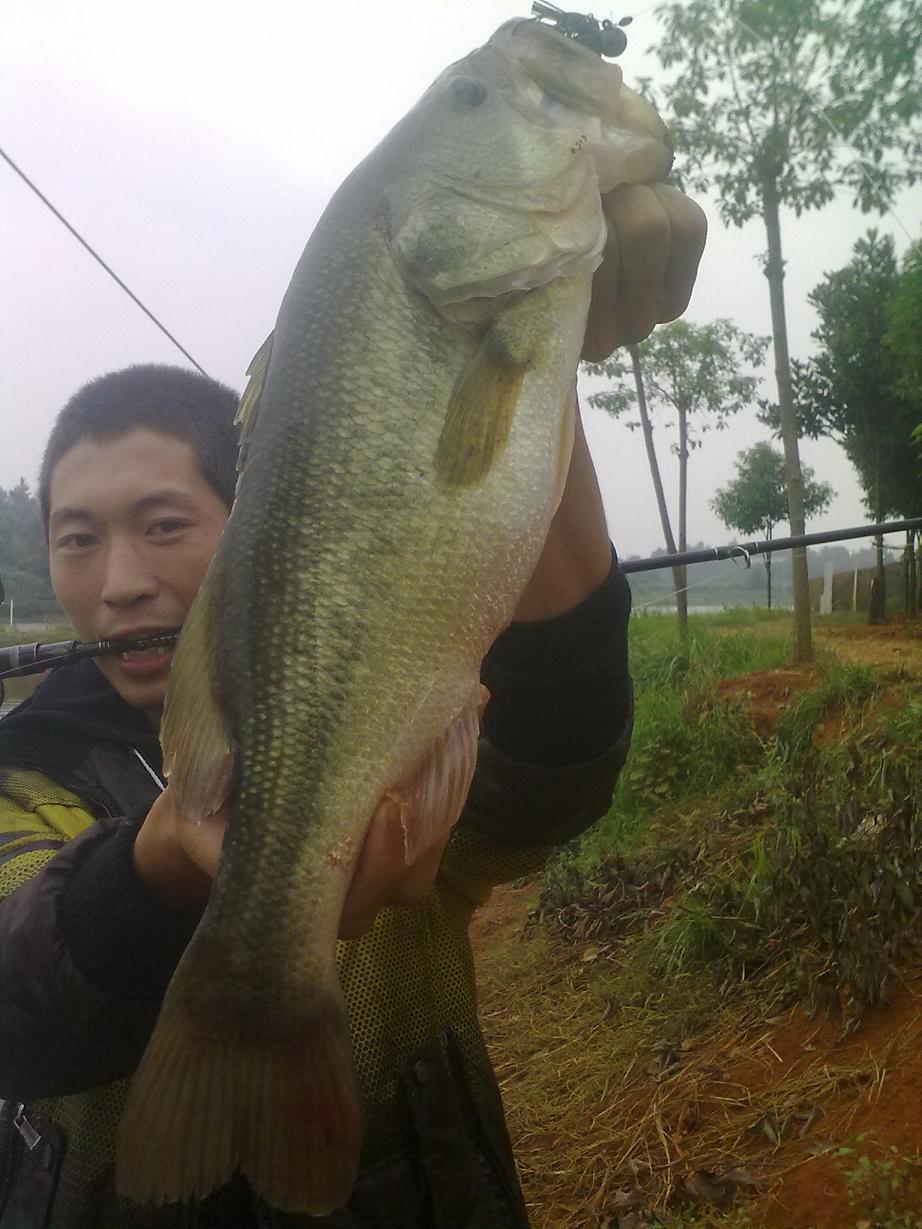 20110921369.jpg