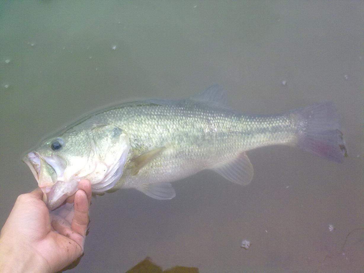 20110921371.jpg