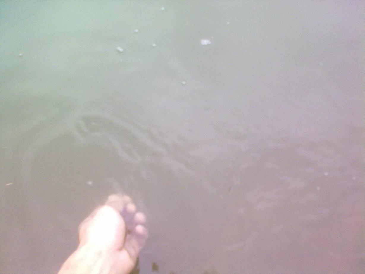 20110921373.jpg