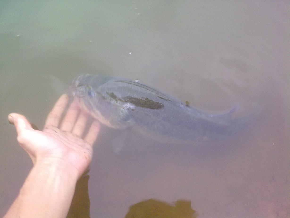 20110921372.jpg