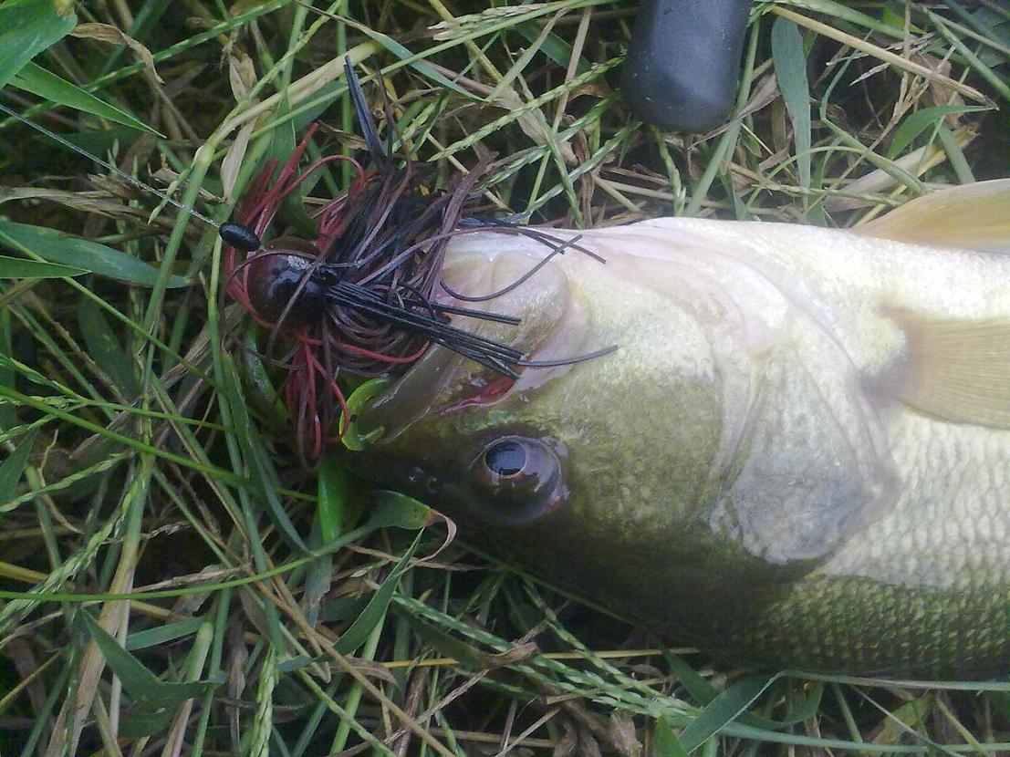 20110921375.jpg