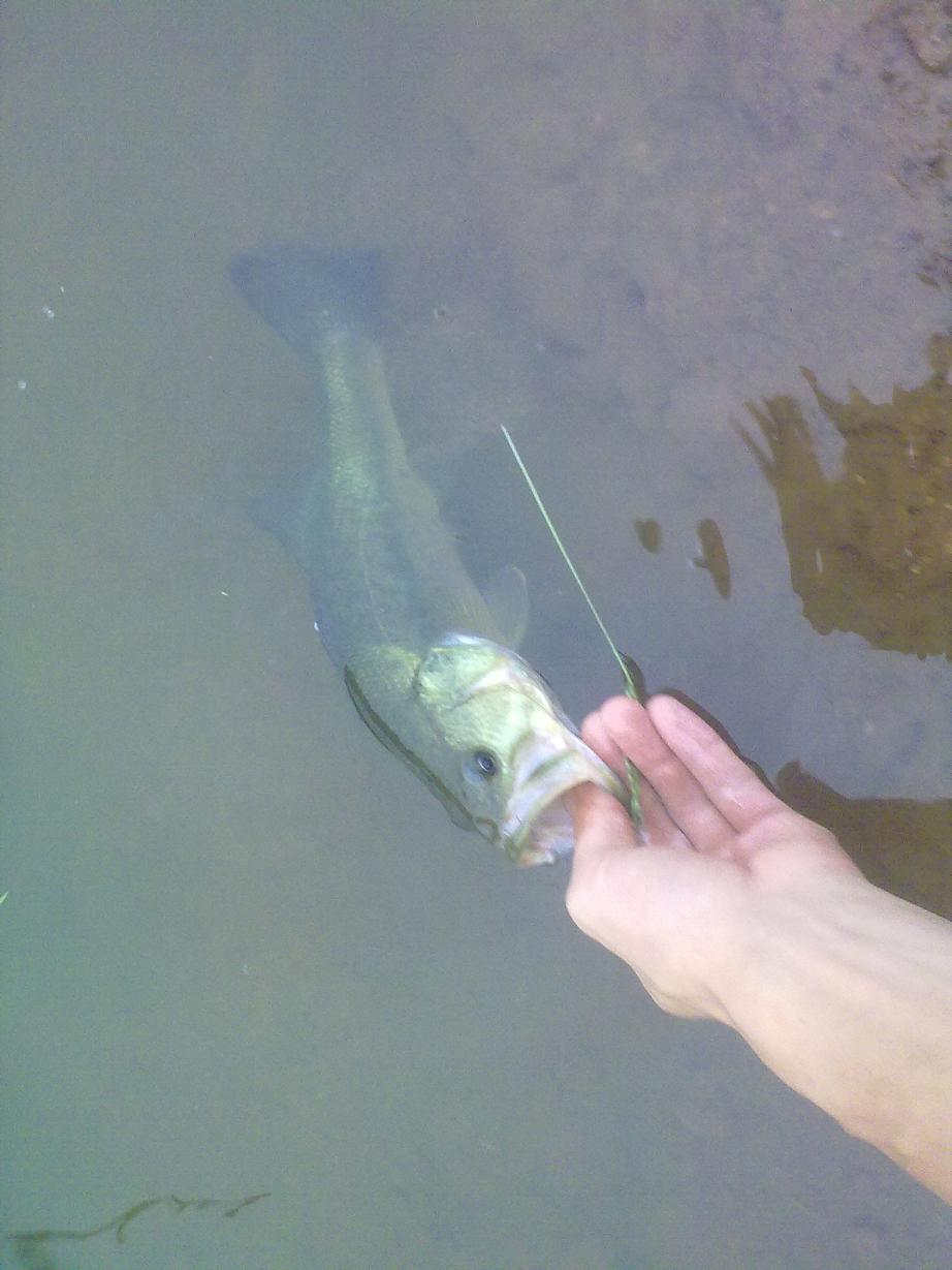 20110921378.jpg