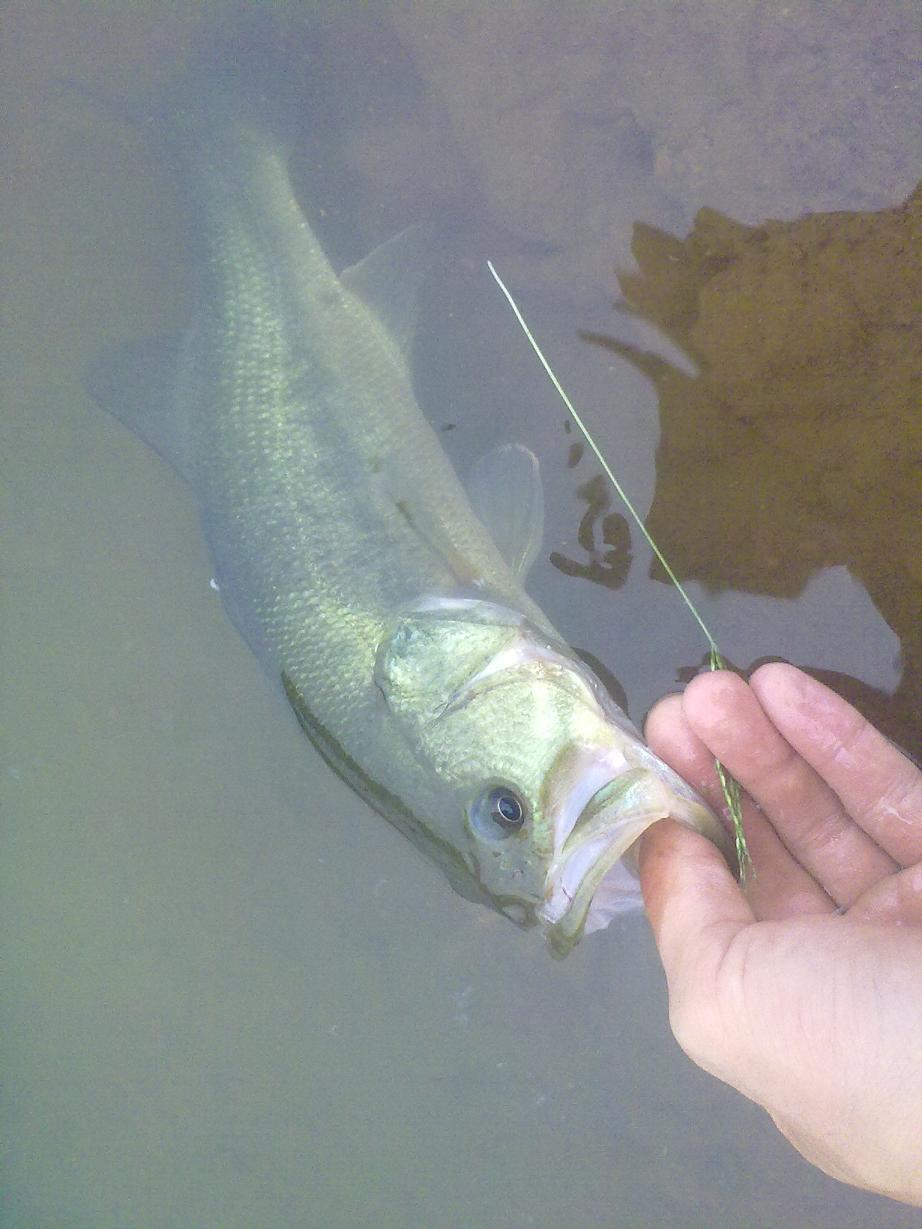20110921379.jpg