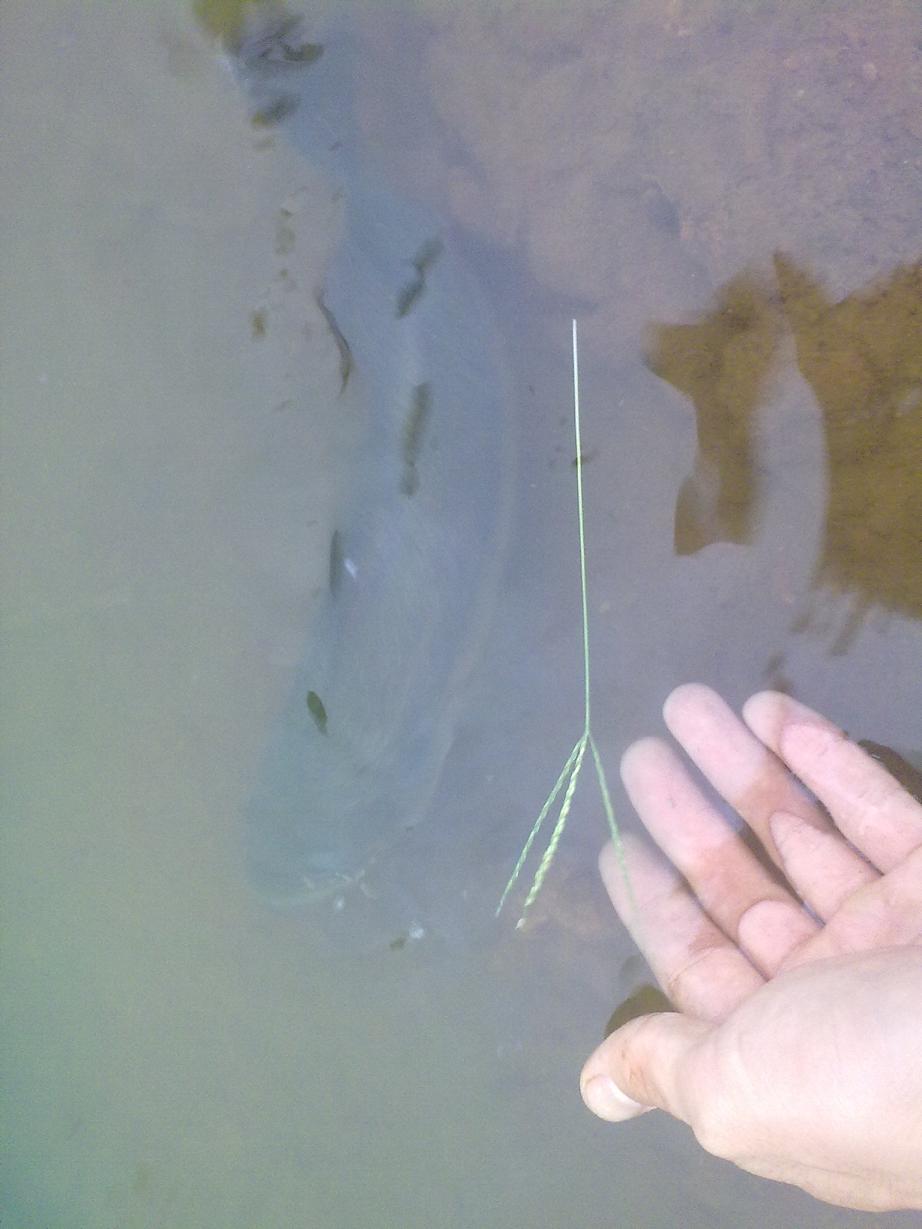 20110921380.jpg