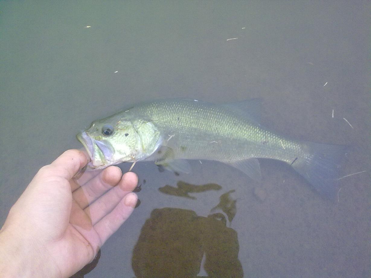 20110921383.jpg
