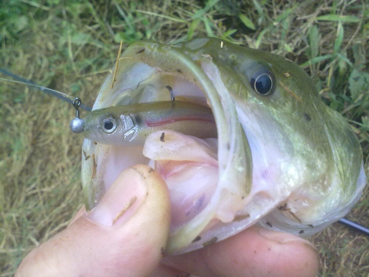 20110921382.jpg