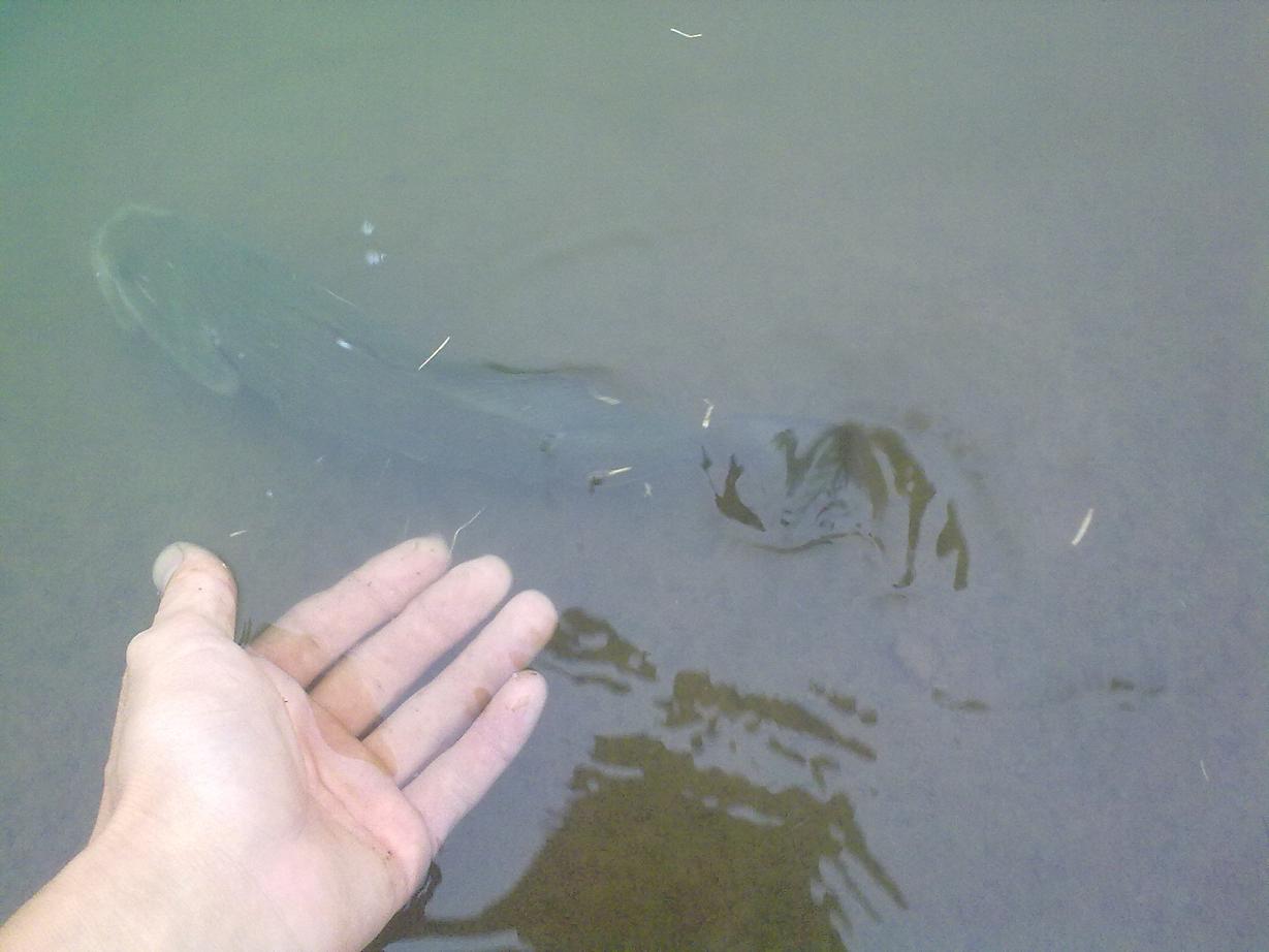20110921384.jpg