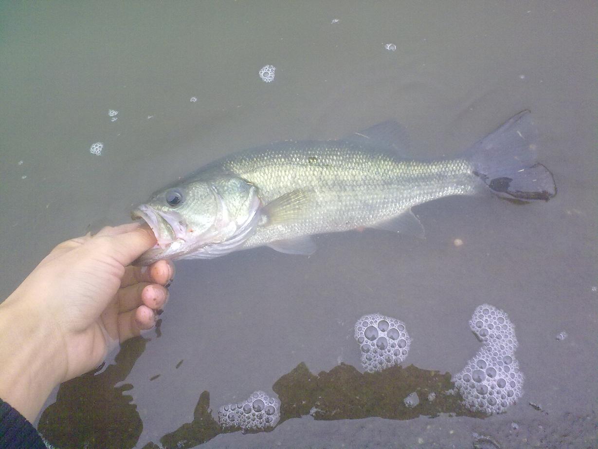 20110921388.jpg