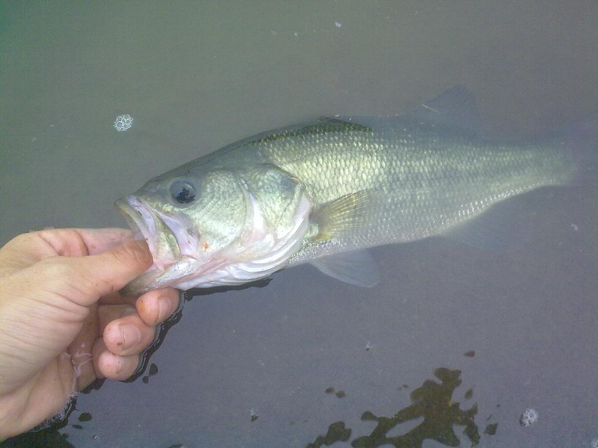 20110921389.jpg