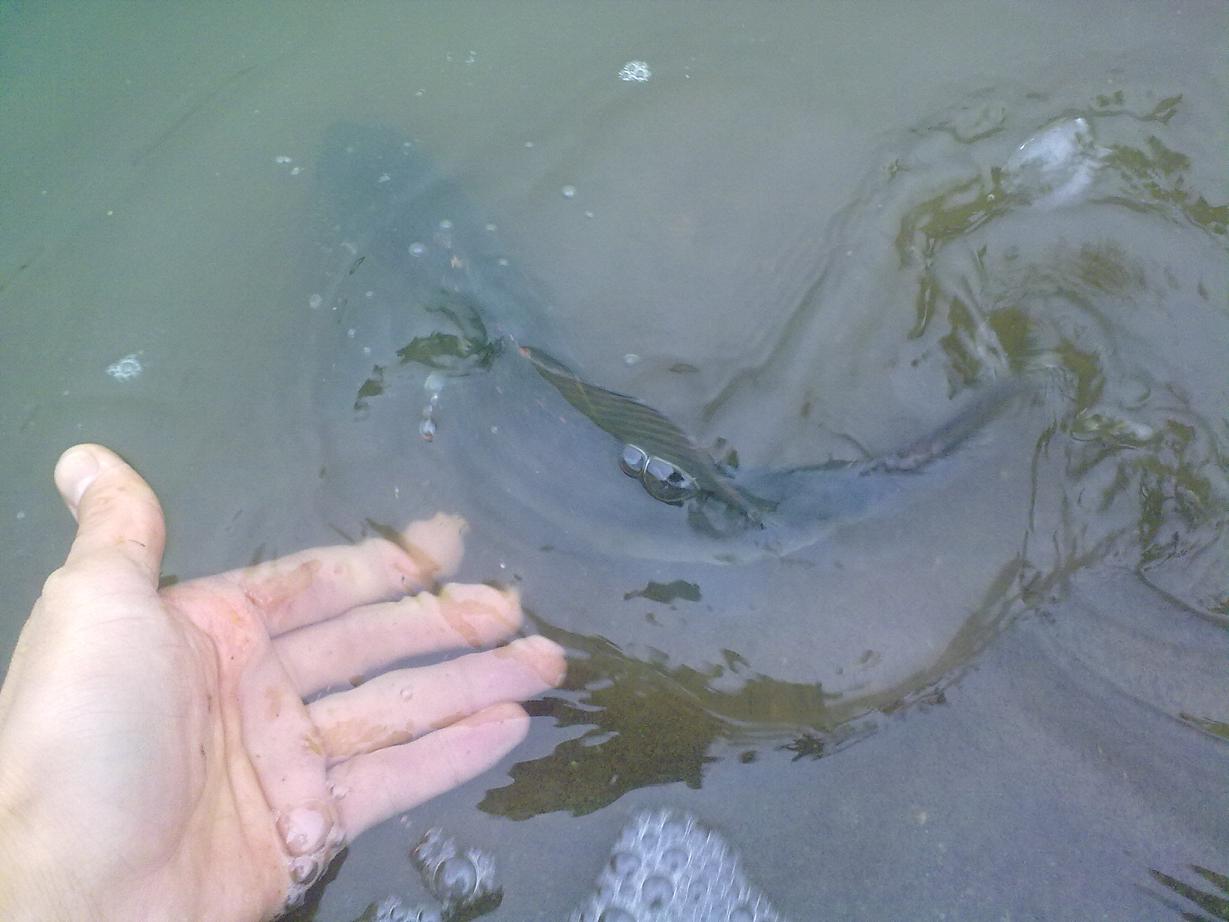20110921390.jpg
