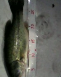 QQͼ20110926021708.png
