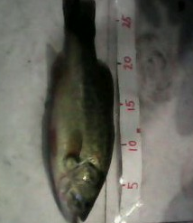 QQͼ20110926021730.png