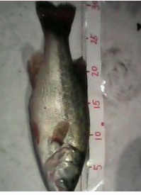 QQͼ20110926021759.png