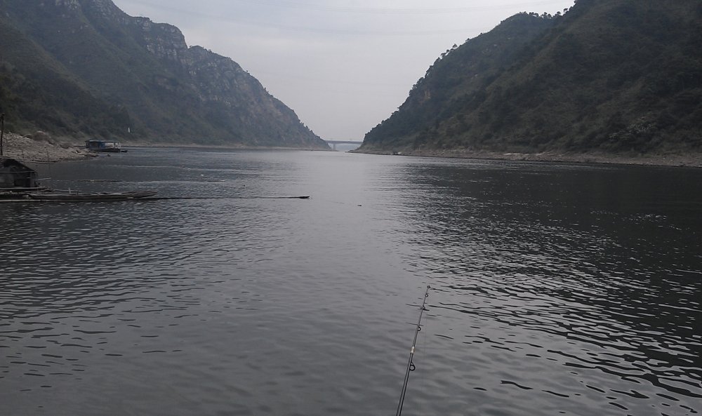 imag0241.jpg