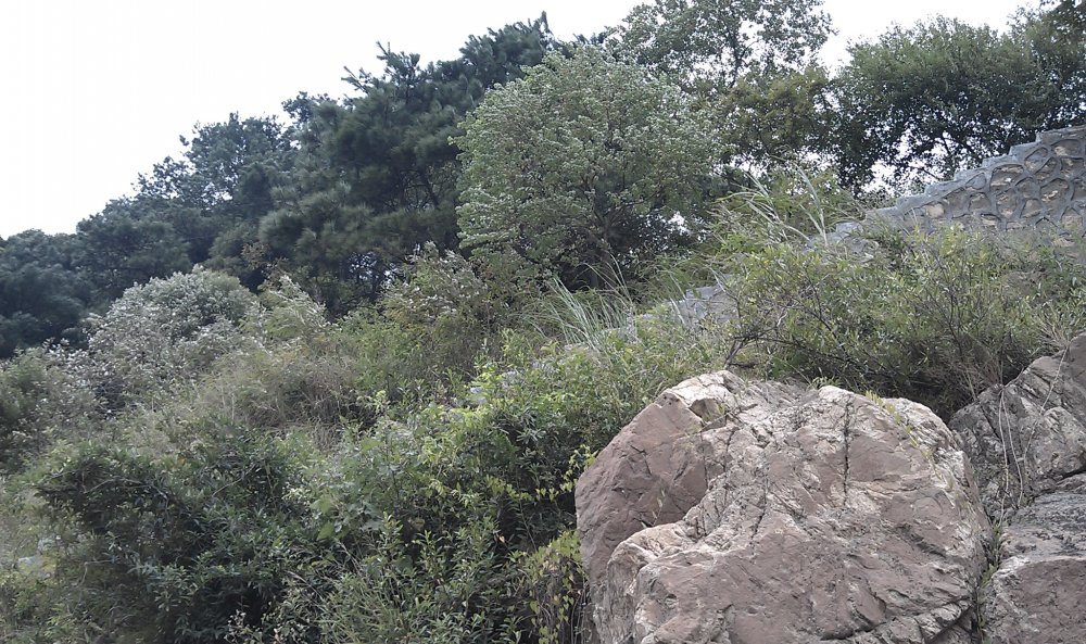 imag0244.jpg