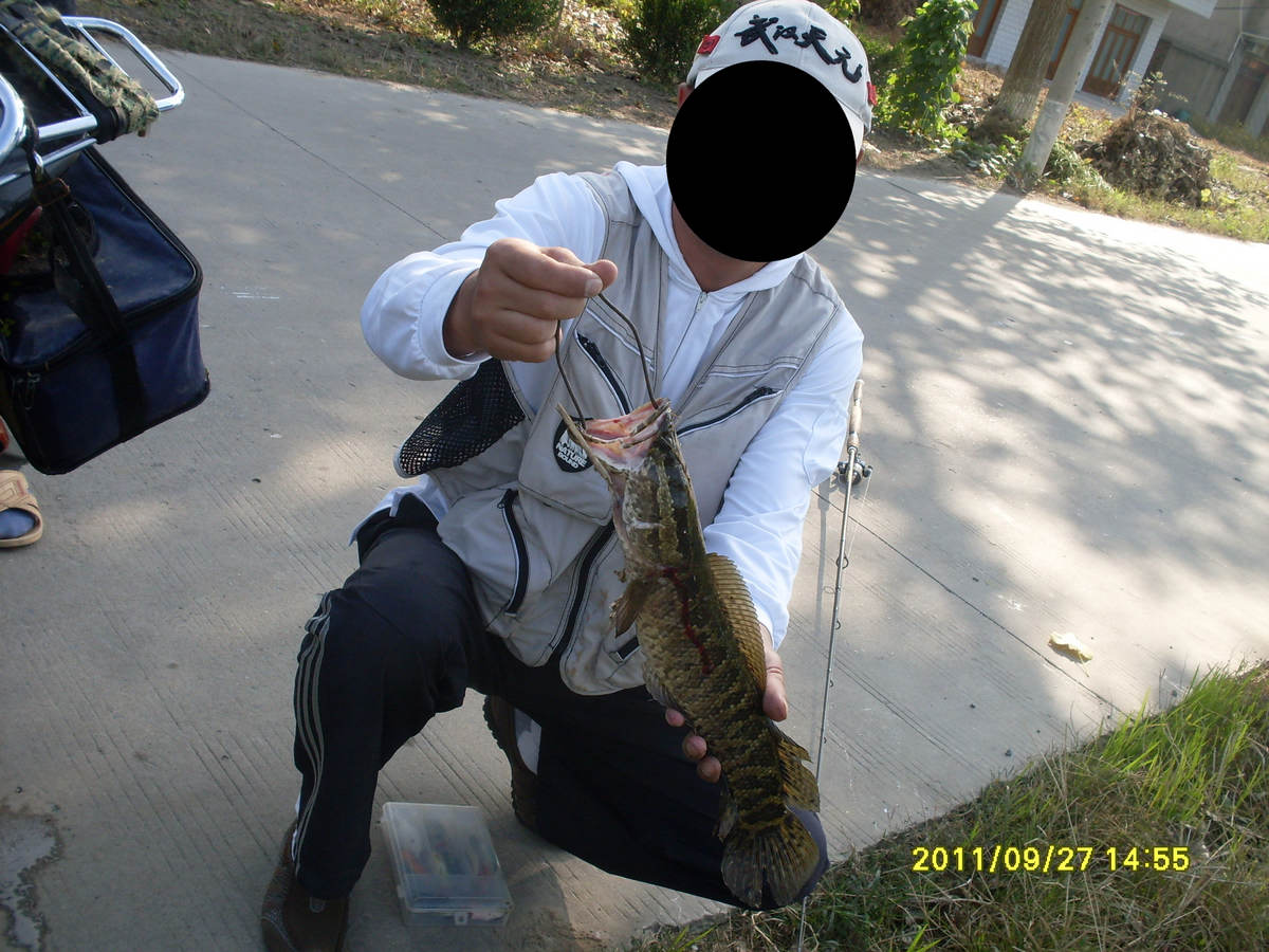 SDC15368.JPG