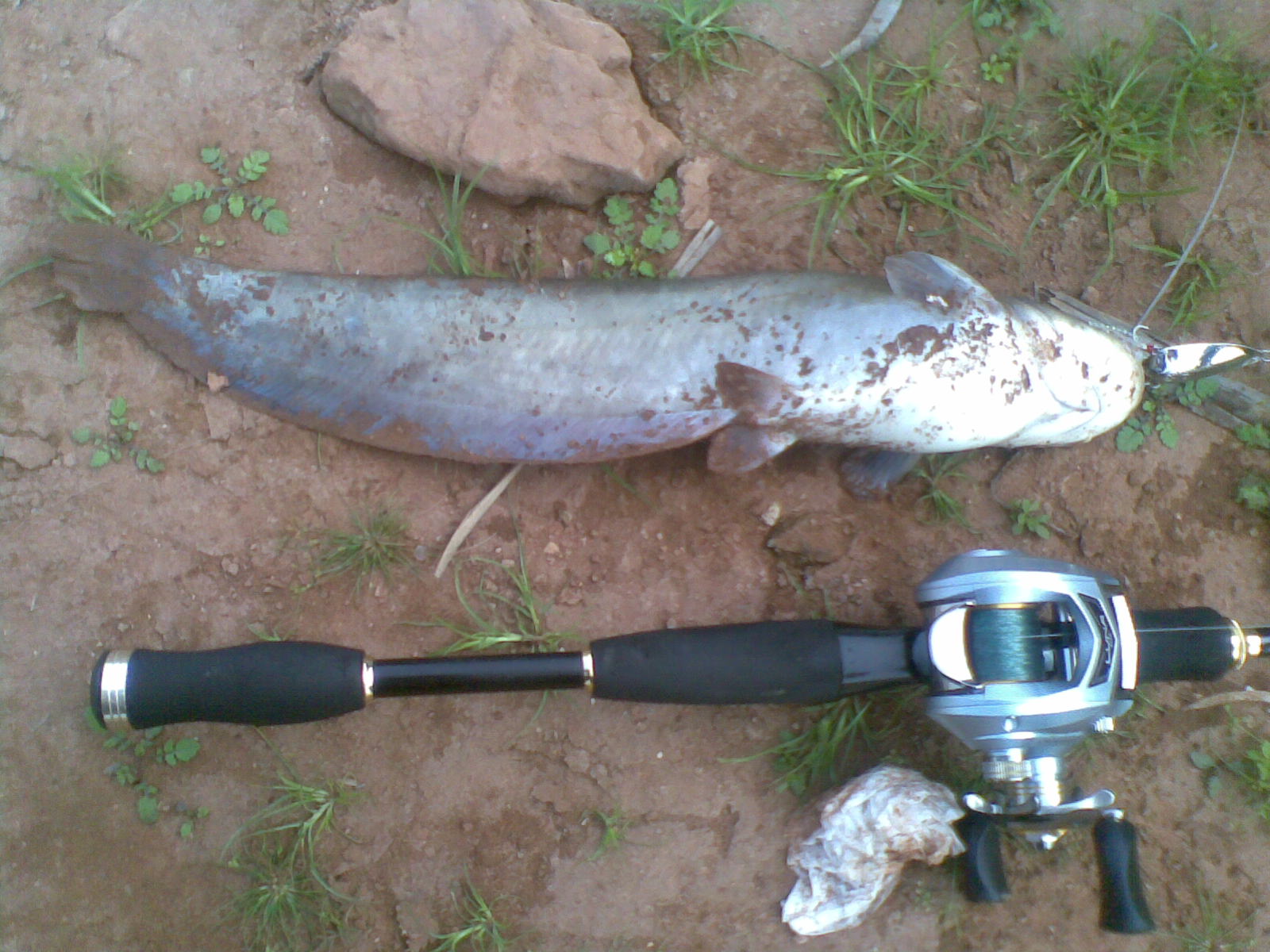20110927.jpg