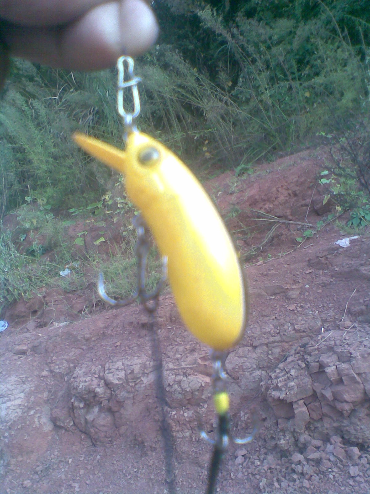 20110927(002).jpg