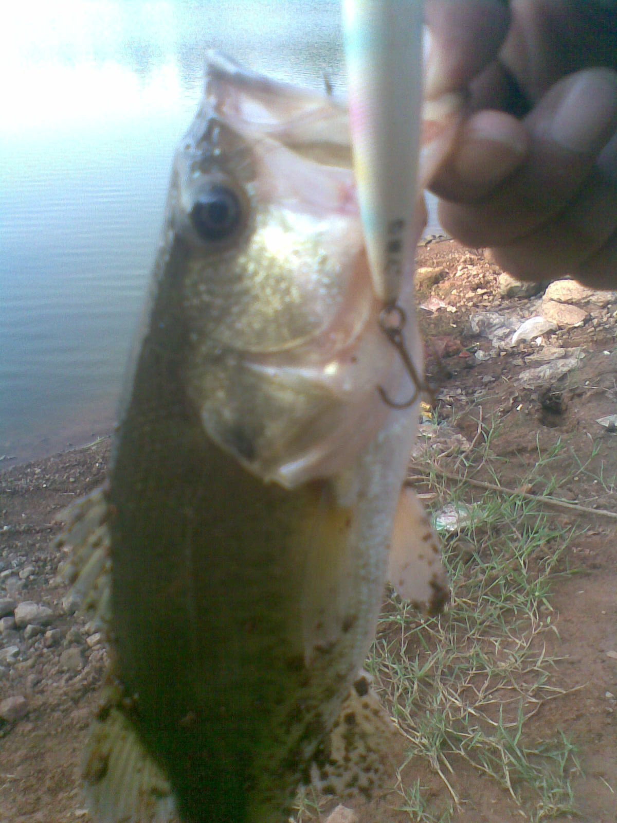 20110927(010).jpg